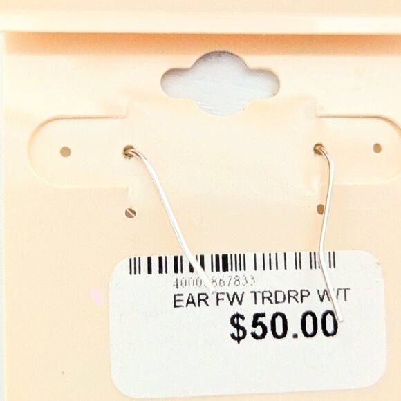 Silver and Turquois Drop Earrings from The Smithsonian, great for any event! - Picture 2 of 3